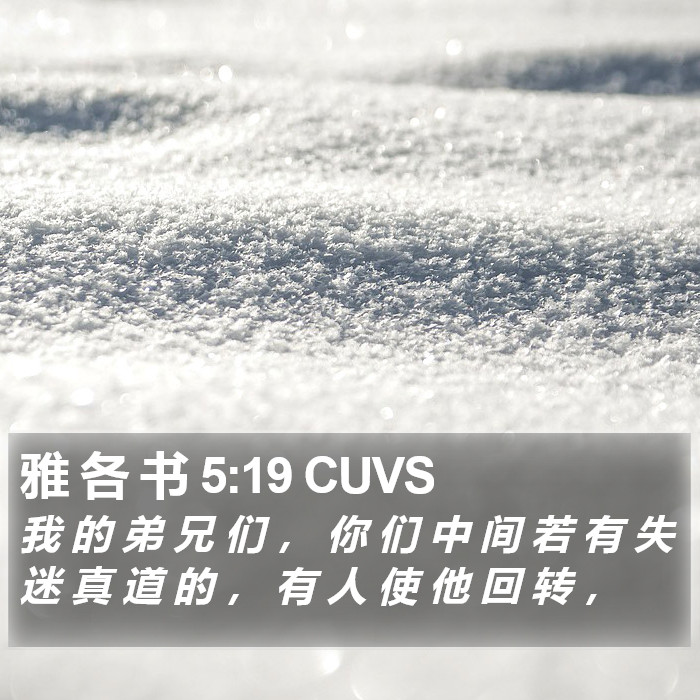 雅 各 书 5:19 CUVS Bible Study