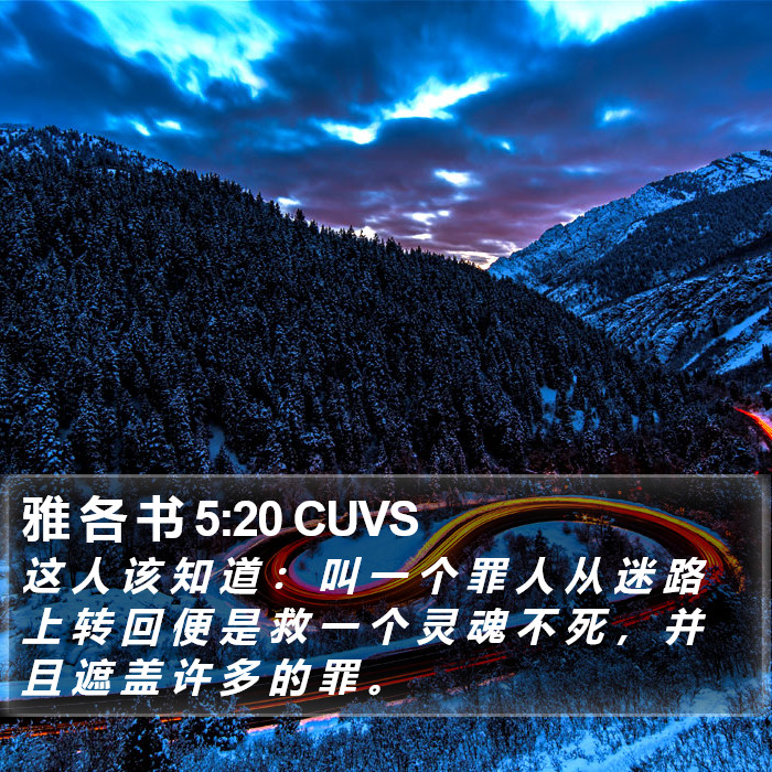 雅 各 书 5:20 CUVS Bible Study