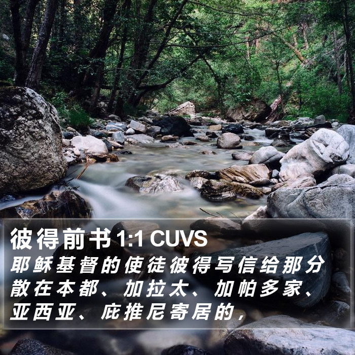 彼 得 前 书 1:1 CUVS Bible Study