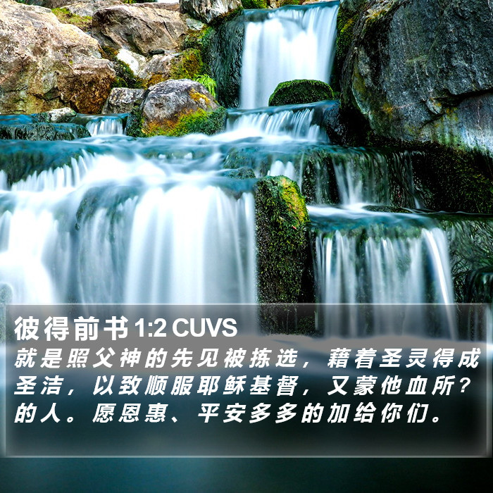 彼 得 前 书 1:2 CUVS Bible Study