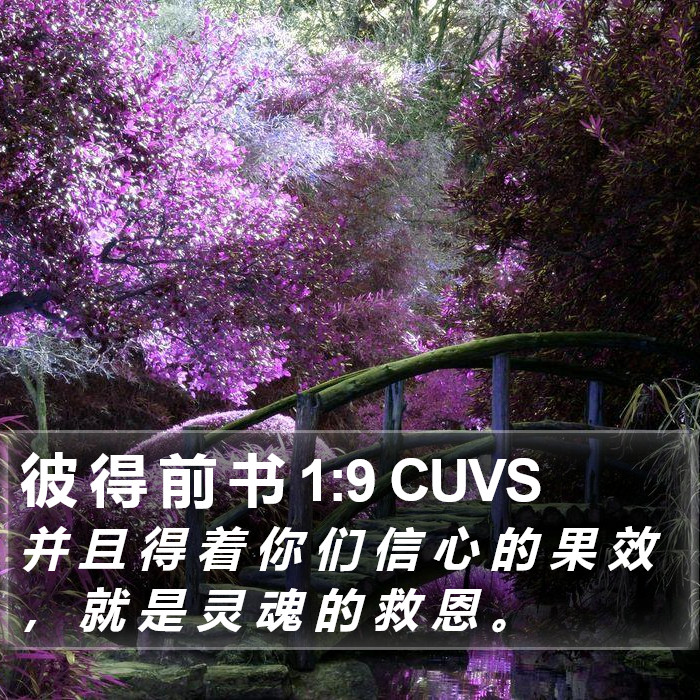 彼 得 前 书 1:9 CUVS Bible Study