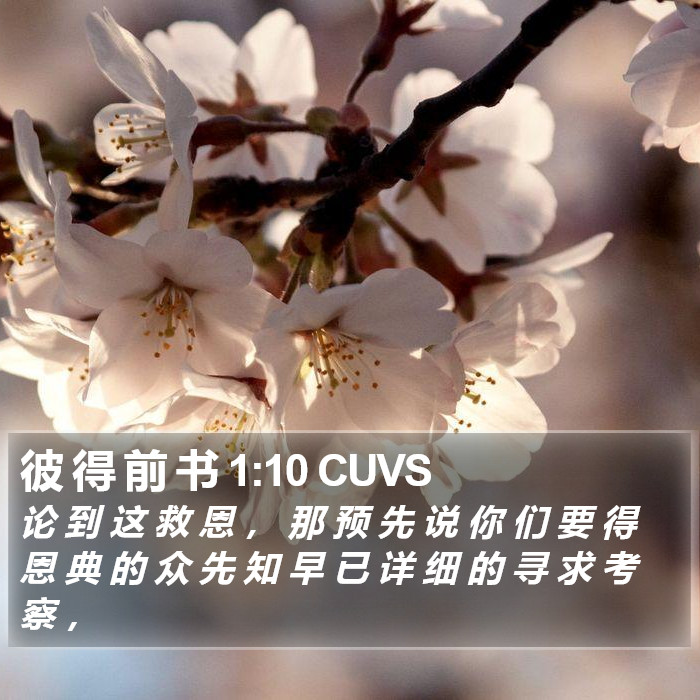 彼 得 前 书 1:10 CUVS Bible Study