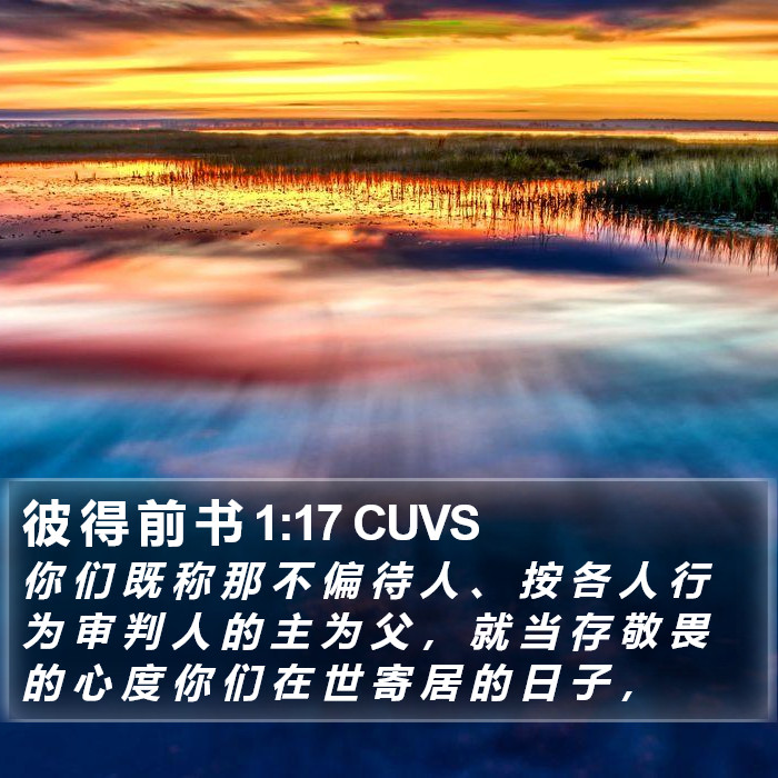 彼 得 前 书 1:17 CUVS Bible Study