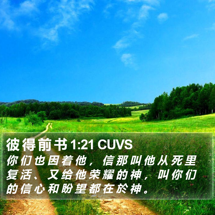 彼 得 前 书 1:21 CUVS Bible Study