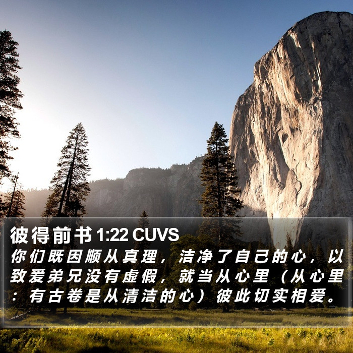 彼 得 前 书 1:22 CUVS Bible Study