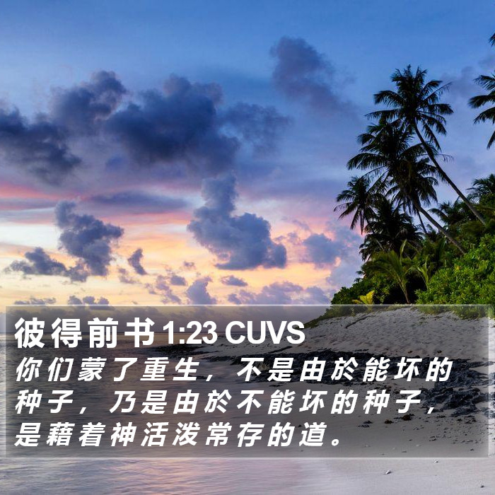 彼 得 前 书 1:23 CUVS Bible Study