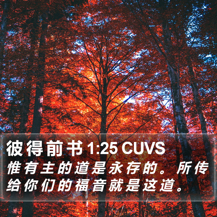 彼 得 前 书 1:25 CUVS Bible Study