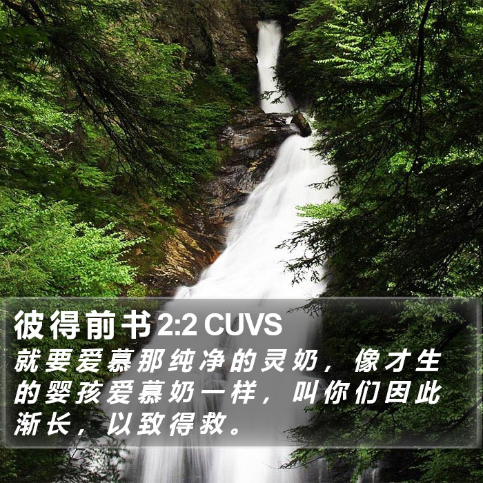 彼 得 前 书 2:2 CUVS Bible Study