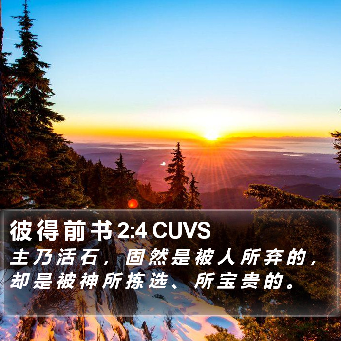 彼 得 前 书 2:4 CUVS Bible Study