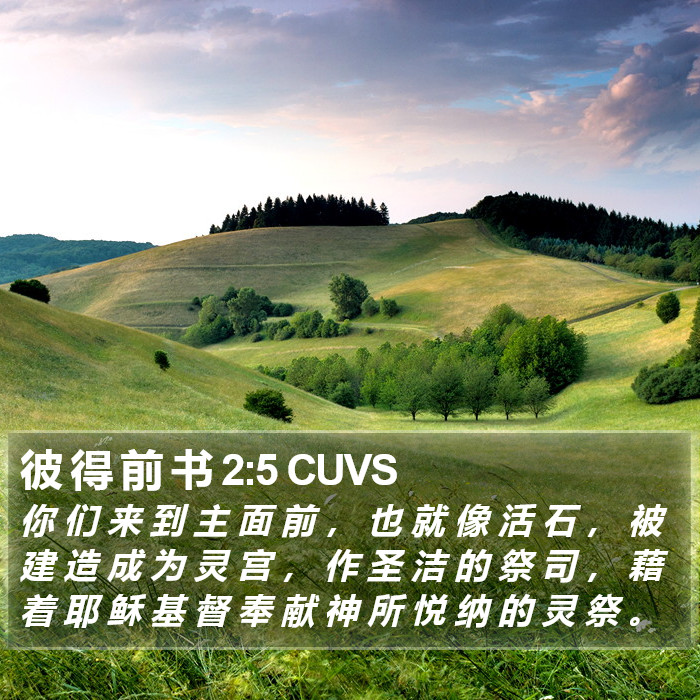 彼 得 前 书 2:5 CUVS Bible Study