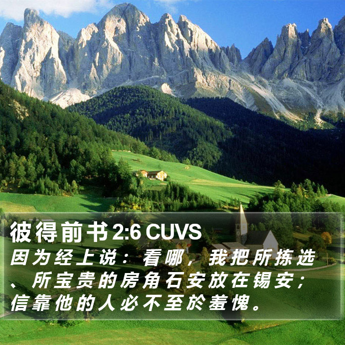 彼 得 前 书 2:6 CUVS Bible Study