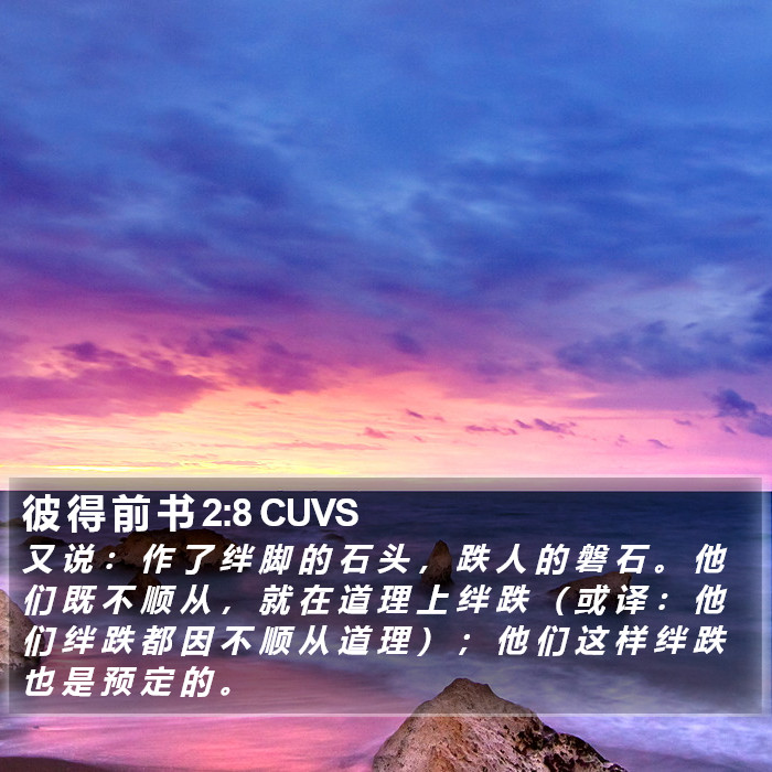 彼 得 前 书 2:8 CUVS Bible Study