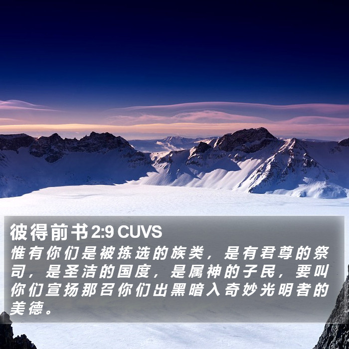 彼 得 前 书 2:9 CUVS Bible Study