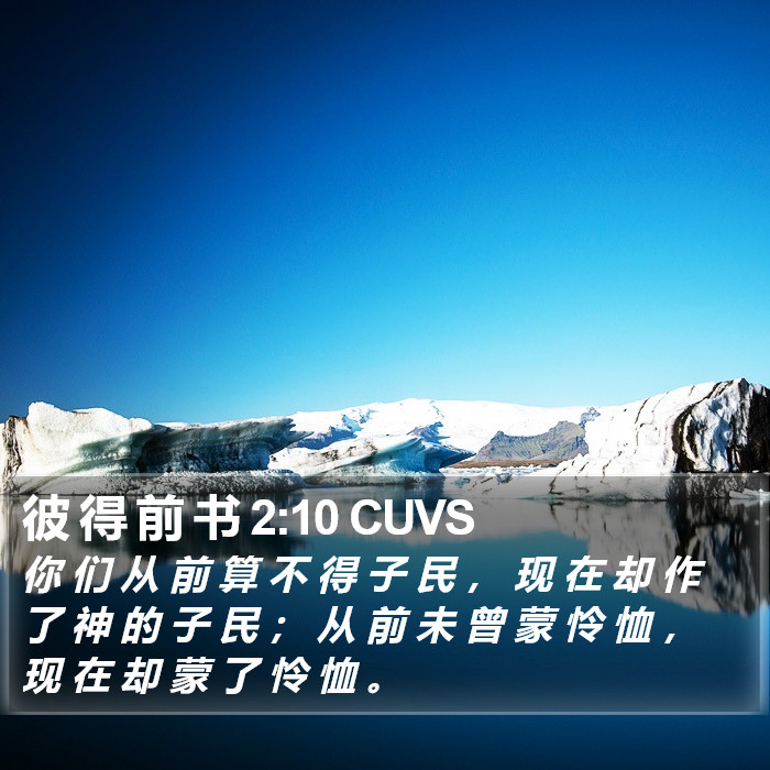 彼 得 前 书 2:10 CUVS Bible Study