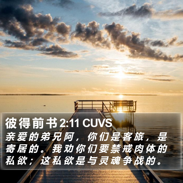 彼 得 前 书 2:11 CUVS Bible Study
