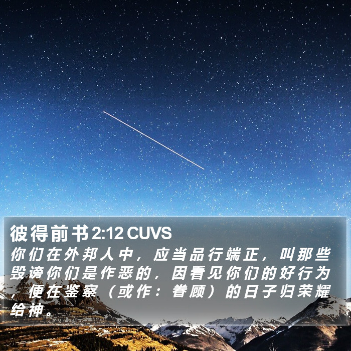 彼 得 前 书 2:12 CUVS Bible Study