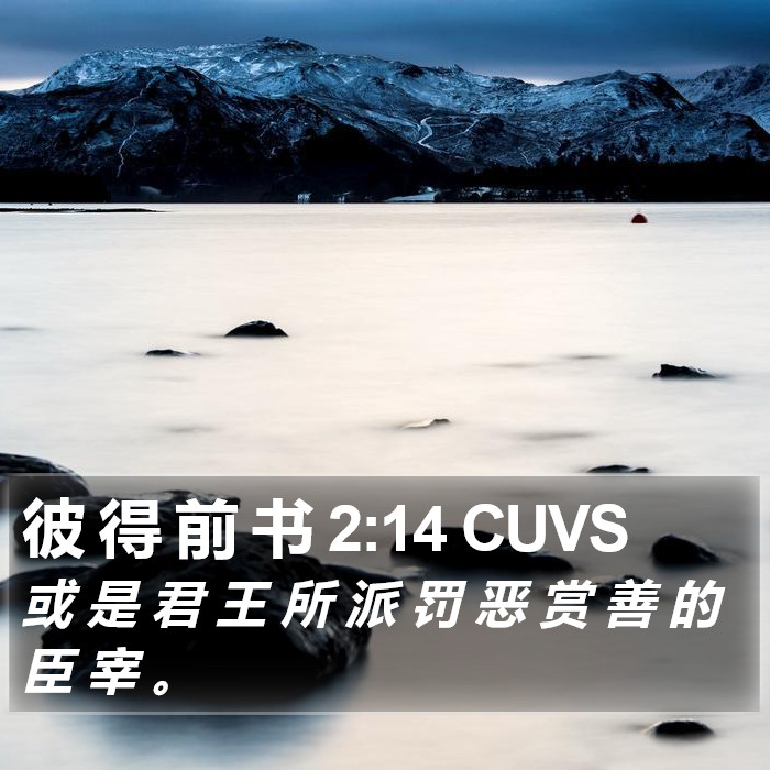 彼 得 前 书 2:14 CUVS Bible Study