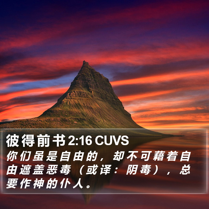 彼 得 前 书 2:16 CUVS Bible Study
