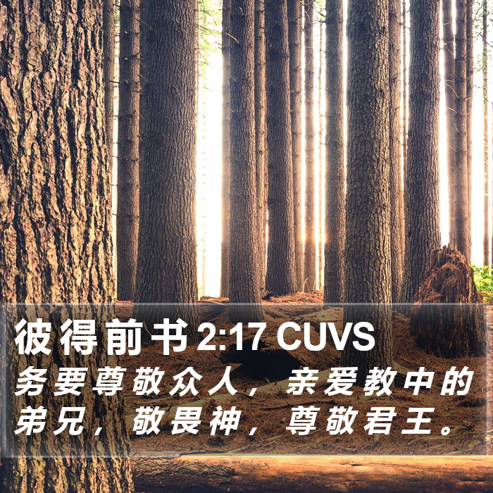 彼 得 前 书 2:17 CUVS Bible Study