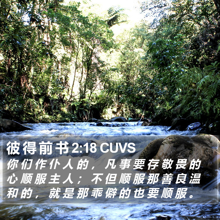 彼 得 前 书 2:18 CUVS Bible Study