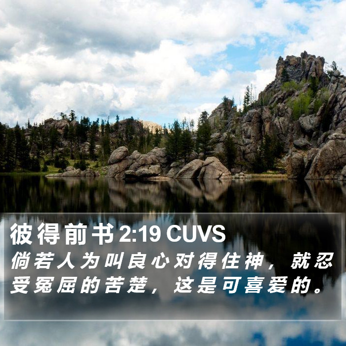 彼 得 前 书 2:19 CUVS Bible Study