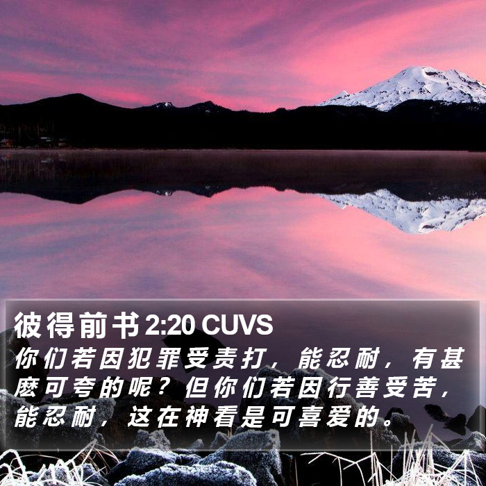 彼 得 前 书 2:20 CUVS Bible Study