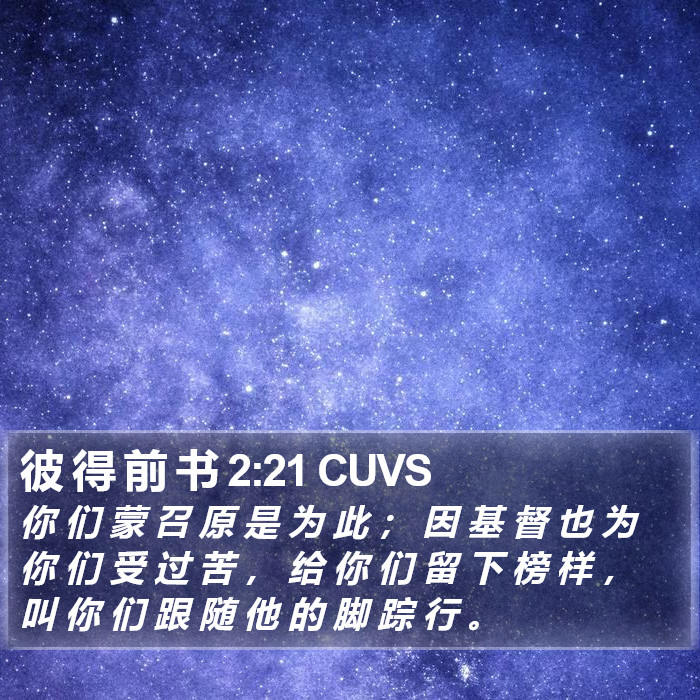 彼 得 前 书 2:21 CUVS Bible Study