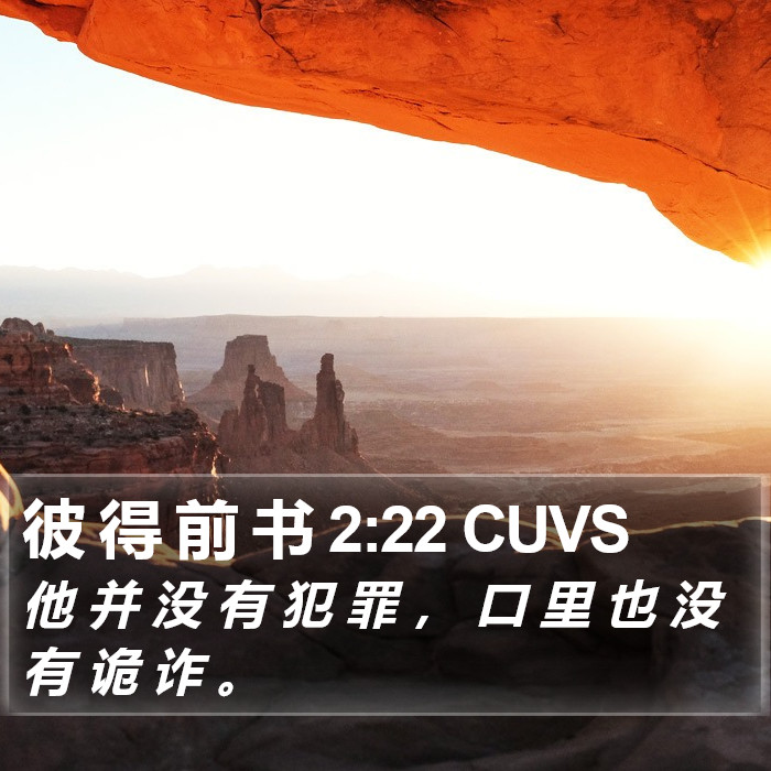 彼 得 前 书 2:22 CUVS Bible Study