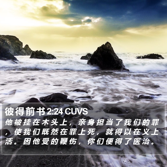 彼 得 前 书 2:24 CUVS Bible Study