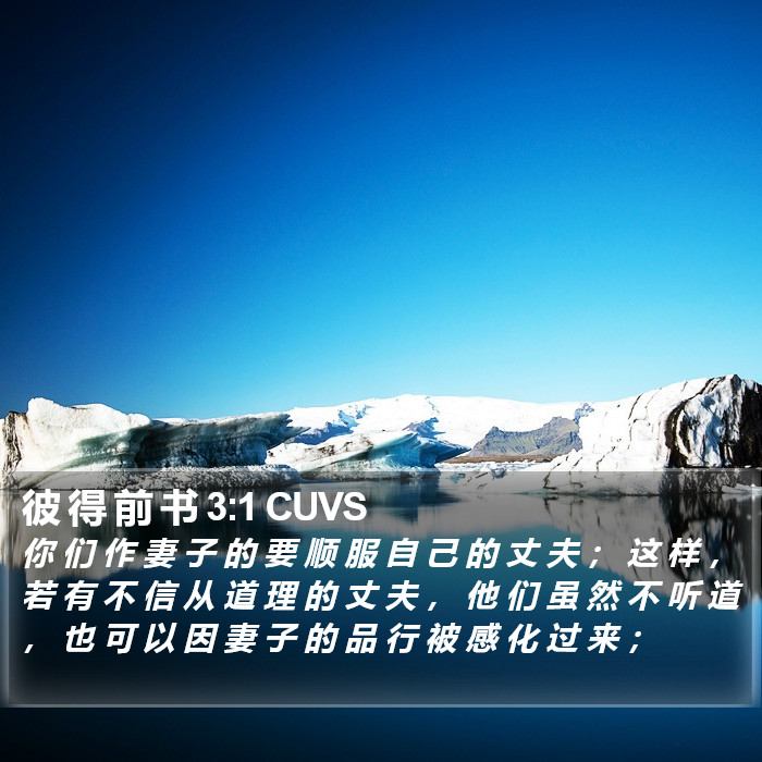 彼 得 前 书 3:1 CUVS Bible Study