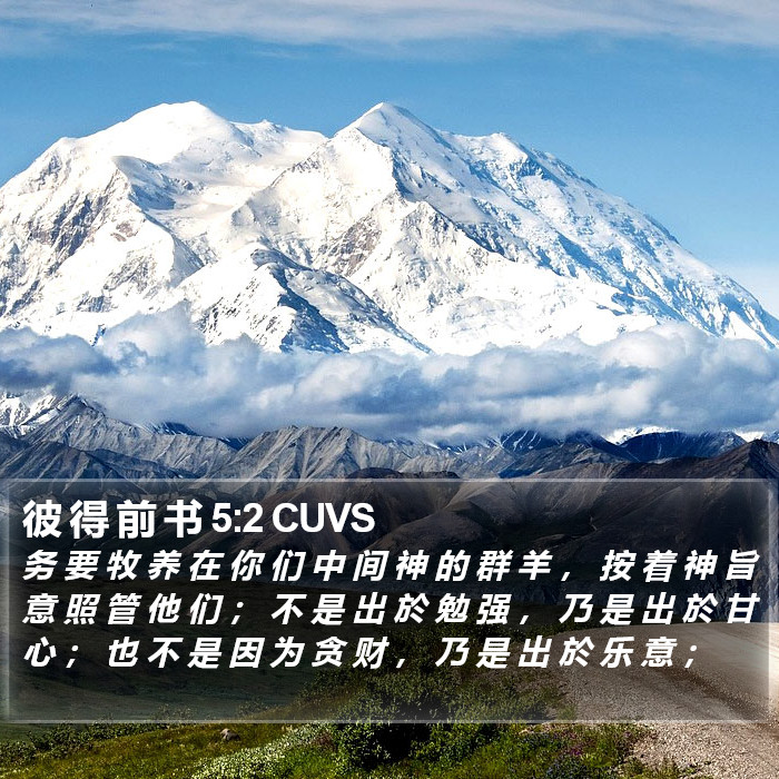 彼 得 前 书 5:2 CUVS Bible Study