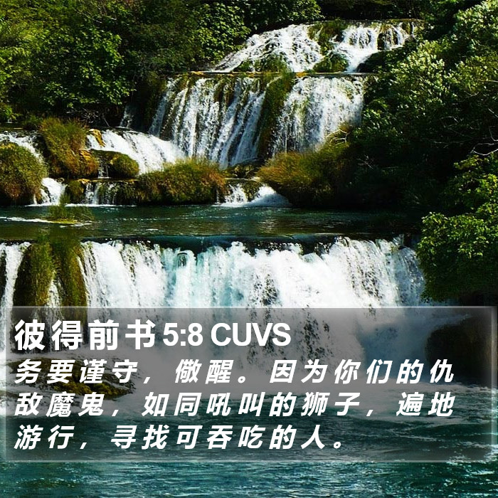 彼 得 前 书 5:8 CUVS Bible Study