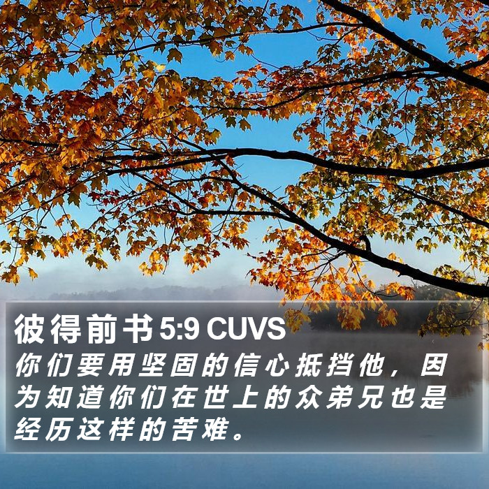 彼 得 前 书 5:9 CUVS Bible Study