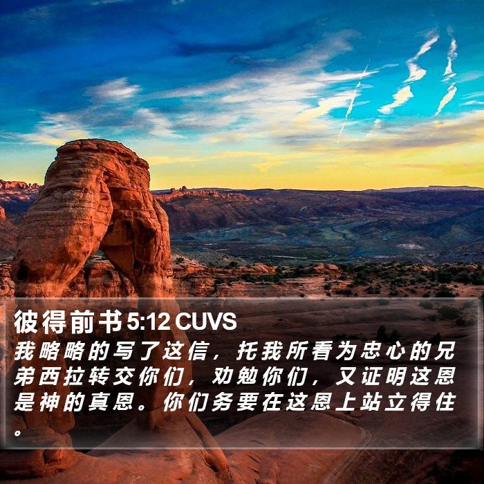 彼 得 前 书 5:12 CUVS Bible Study