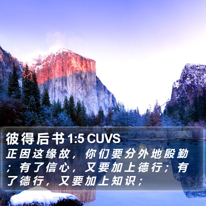 彼 得 后 书 1:5 CUVS Bible Study