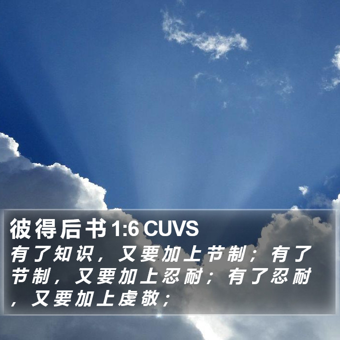 彼 得 后 书 1:6 CUVS Bible Study