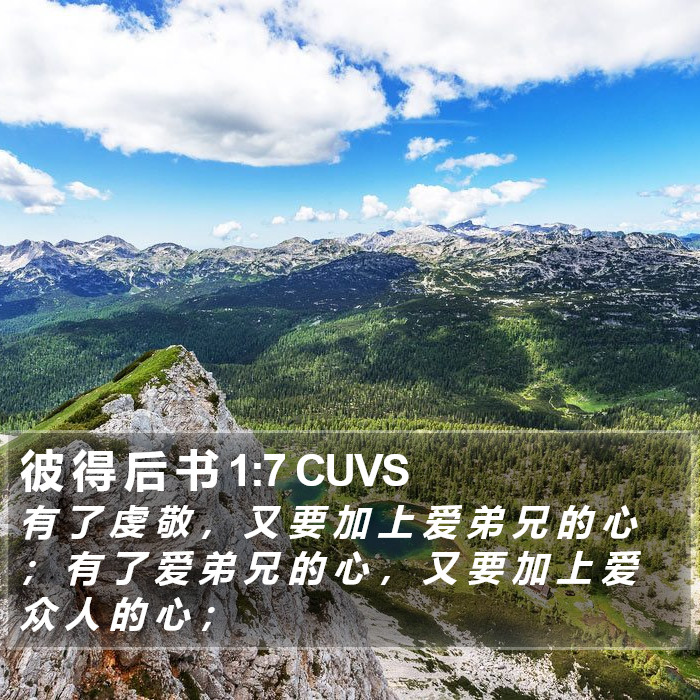 彼 得 后 书 1:7 CUVS Bible Study