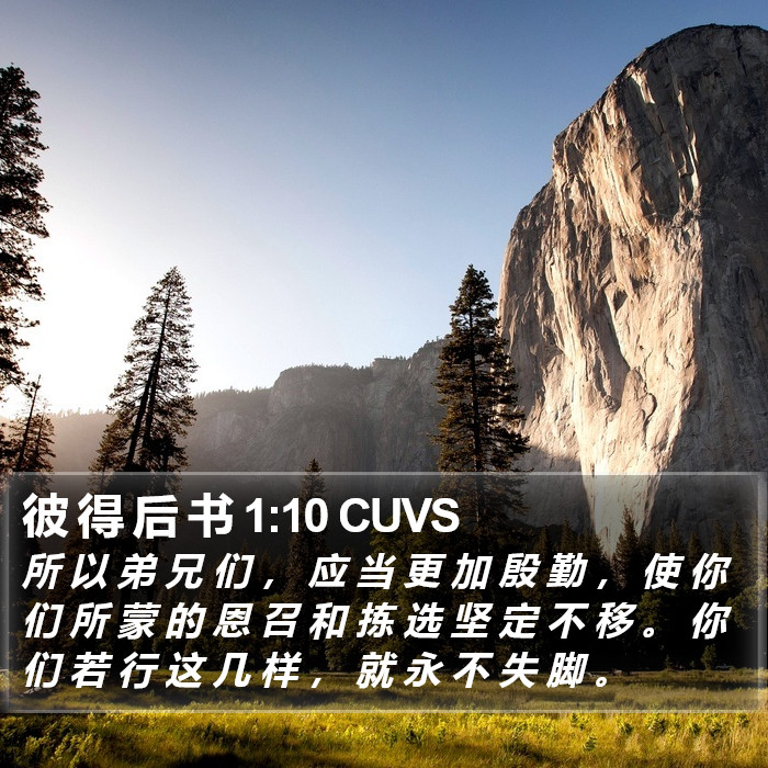 彼 得 后 书 1:10 CUVS Bible Study