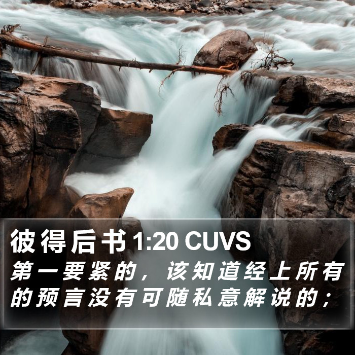 彼 得 后 书 1:20 CUVS Bible Study