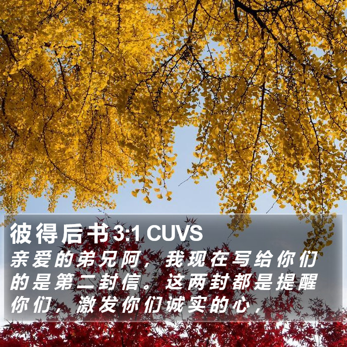 彼 得 后 书 3:1 CUVS Bible Study