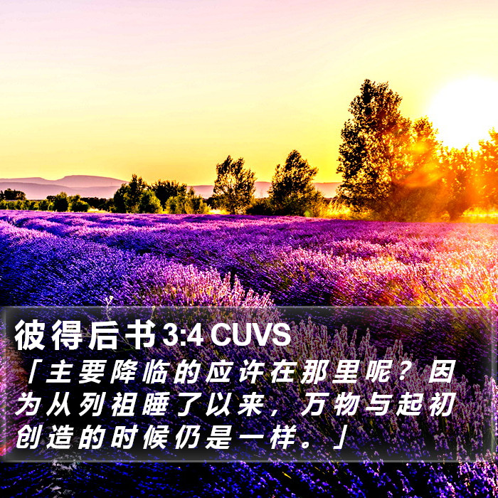 彼 得 后 书 3:4 CUVS Bible Study