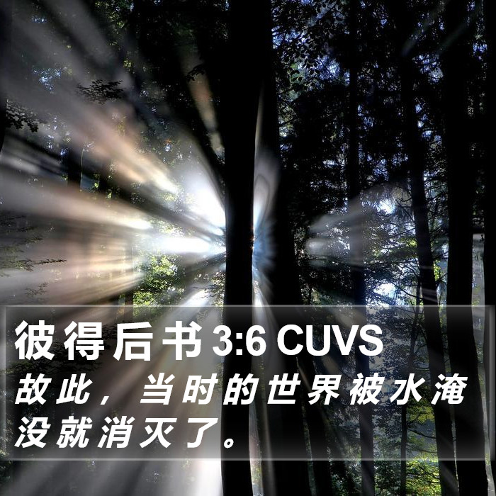 彼 得 后 书 3:6 CUVS Bible Study