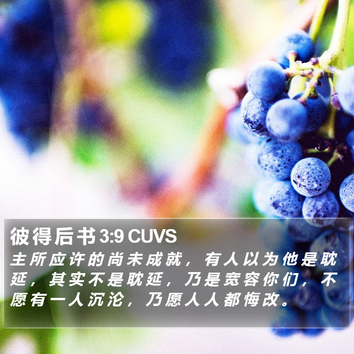 彼 得 后 书 3:9 CUVS Bible Study