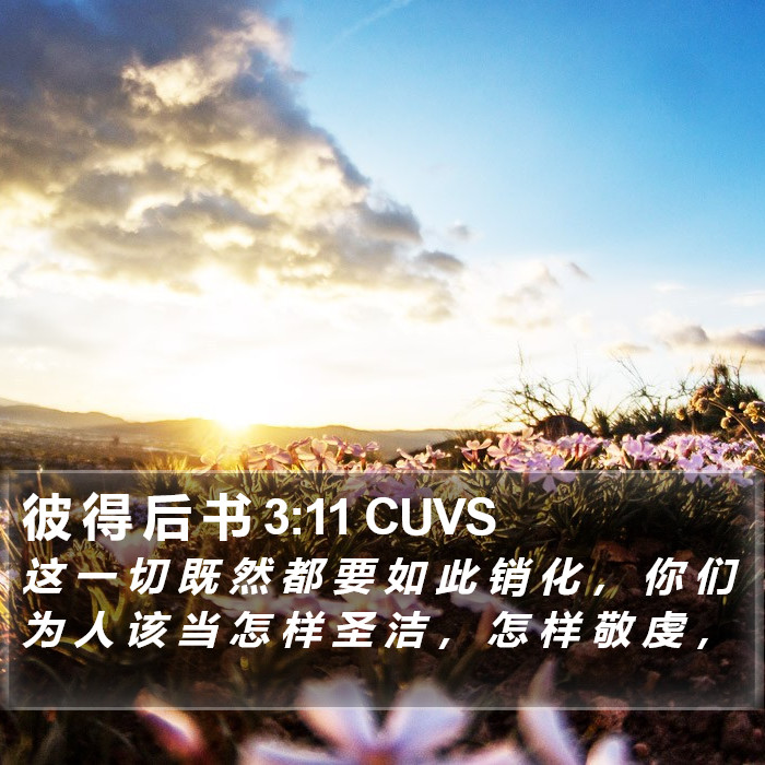 彼 得 后 书 3:11 CUVS Bible Study