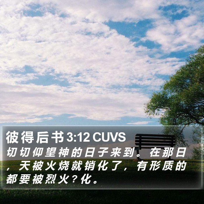 彼 得 后 书 3:12 CUVS Bible Study