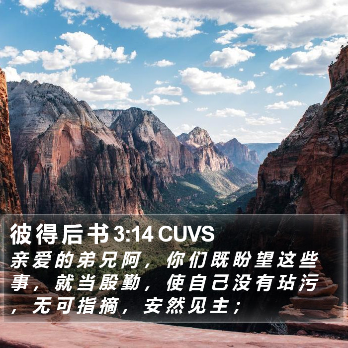 彼 得 后 书 3:14 CUVS Bible Study