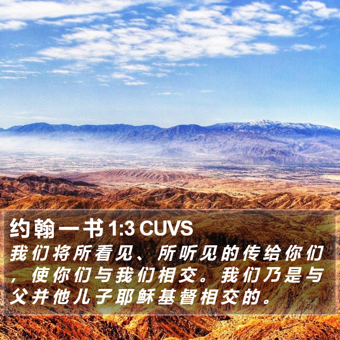 约 翰 一 书 1:3 CUVS Bible Study