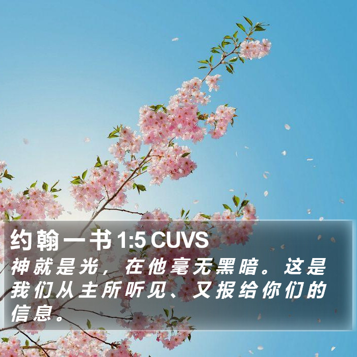 约 翰 一 书 1:5 CUVS Bible Study