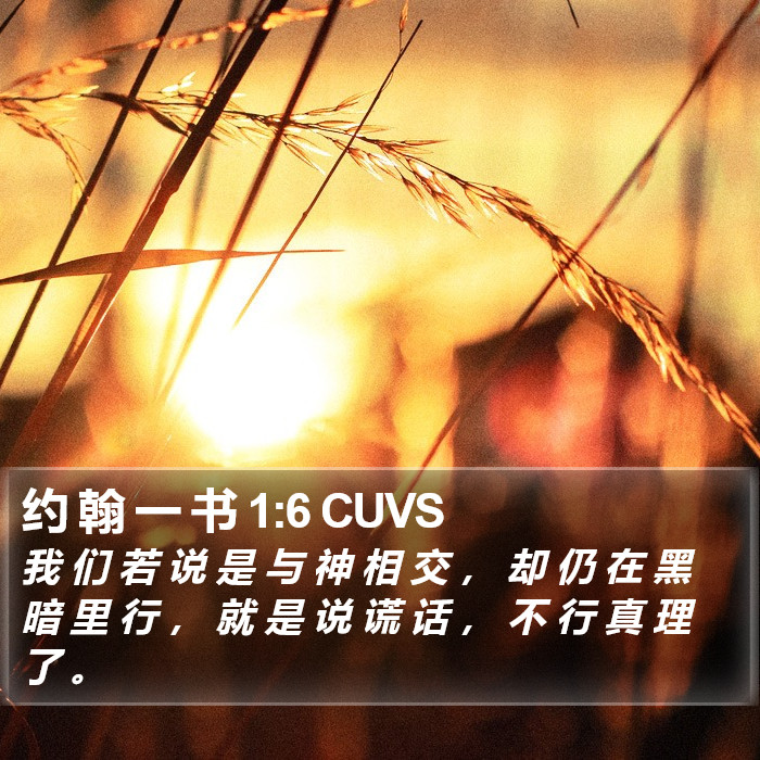 约 翰 一 书 1:6 CUVS Bible Study