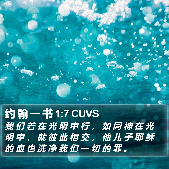 约 翰 一 书 1:7 CUVS Bible Study